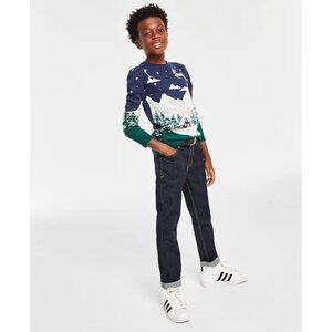 Holiday Lane Big Boys Size Medium Snowy Landscape Crewneck Sweater Blue $40 162